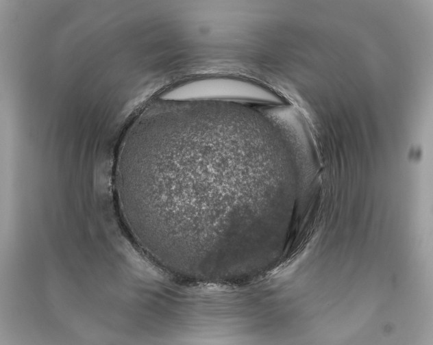 X0000091000585200708161940