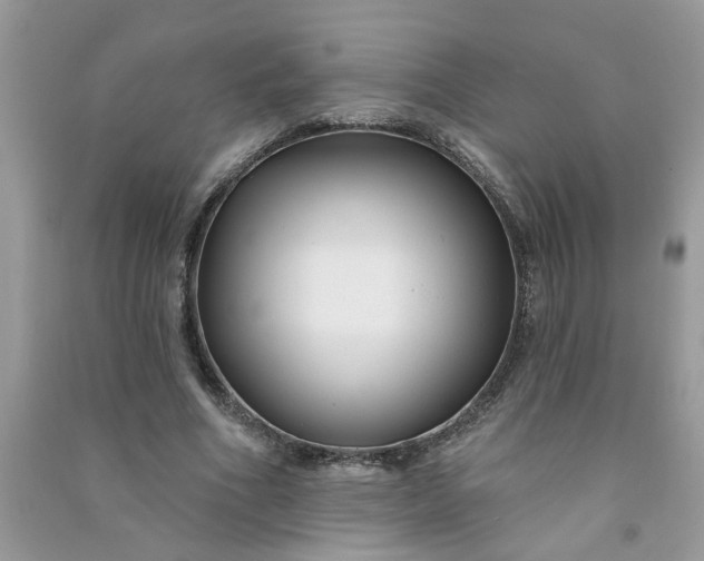 X0000091000586200708161940
