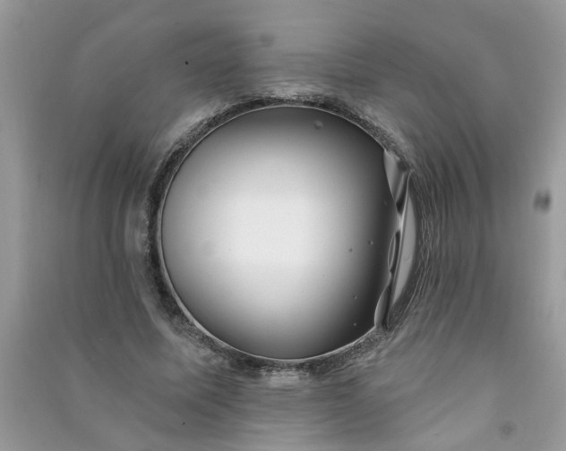 X0000091000587200708161940