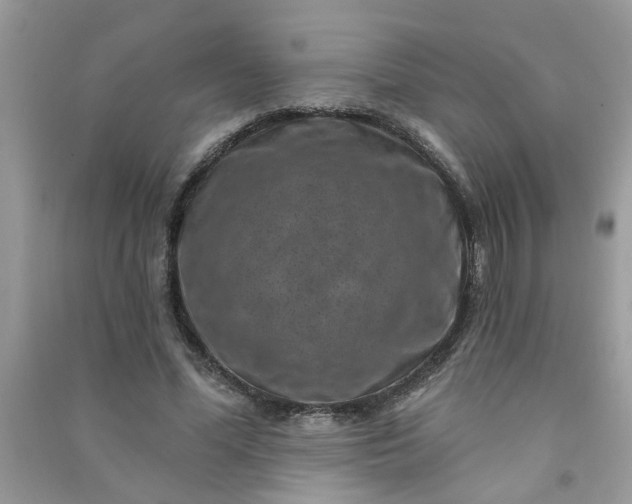 X0000091000588200708161940