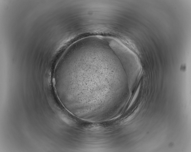 X0000091000589200708161940