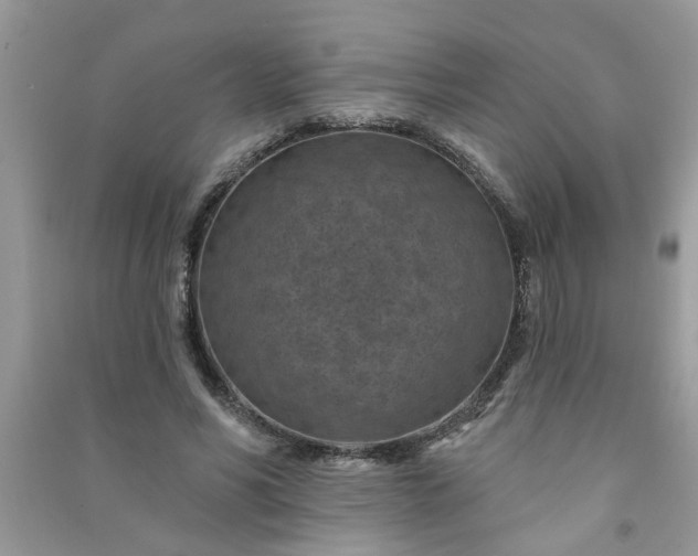 X0000091000590200708161940