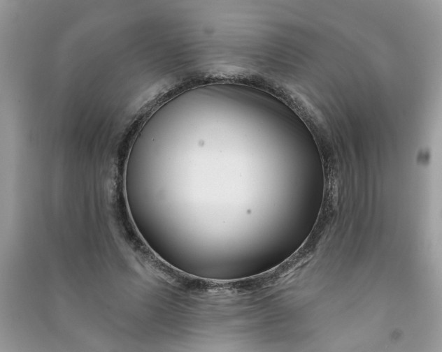 X0000091000591200708161940