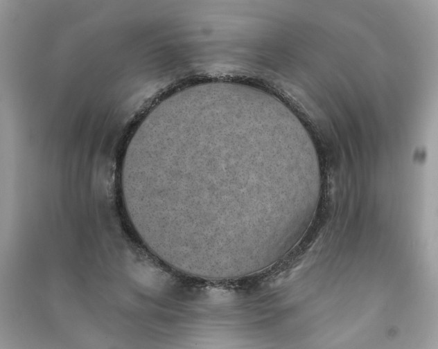 X0000091000592200708161940
