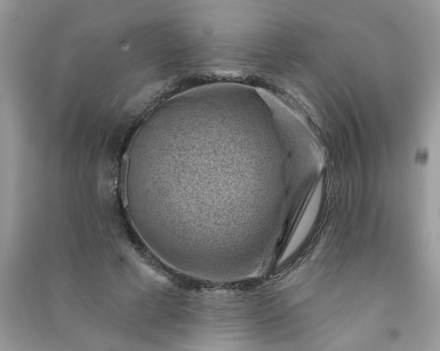 X0000091000593200708161940