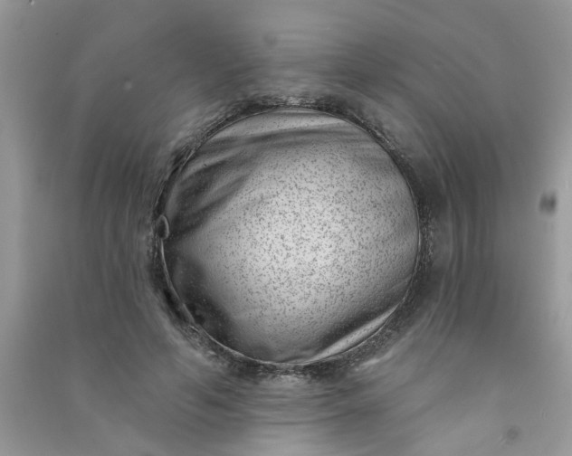 X0000091000594200708161940