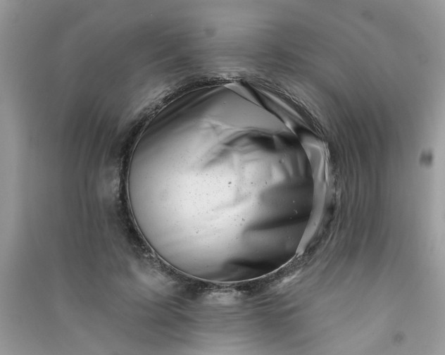X0000091000595200708161940
