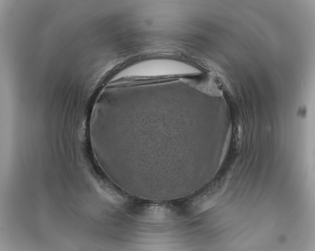 X0000091000596200708161940