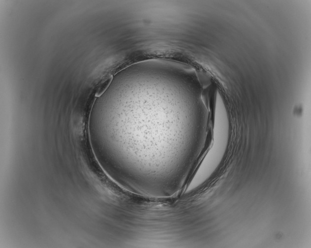 X0000091000597200708161940