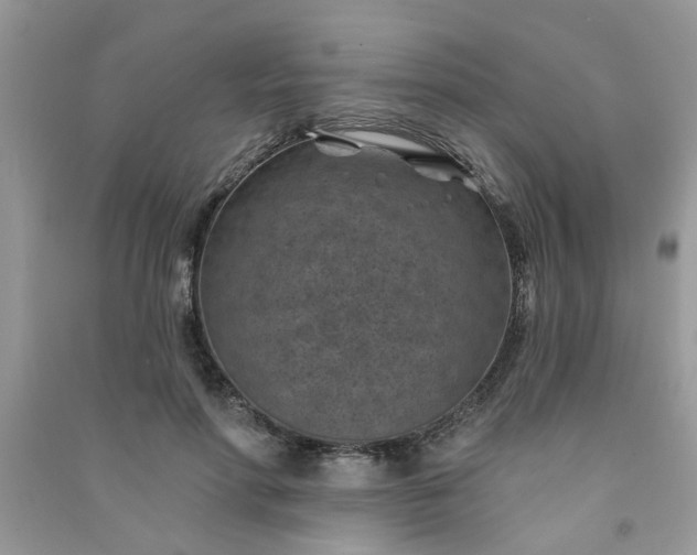 X0000091000598200708161940