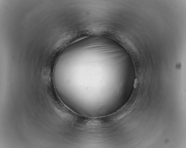 X0000091000599200708161940