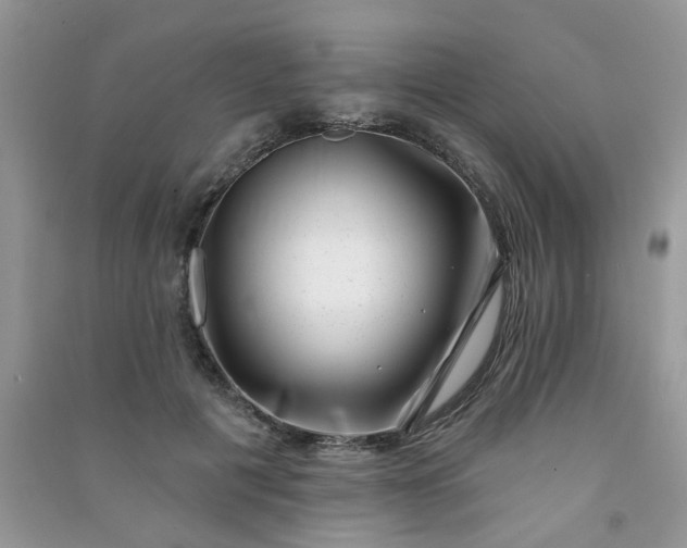 X0000091000601200708161940