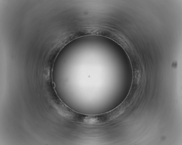 X0000091000602200708161939