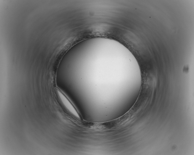 X0000091000603200708161939