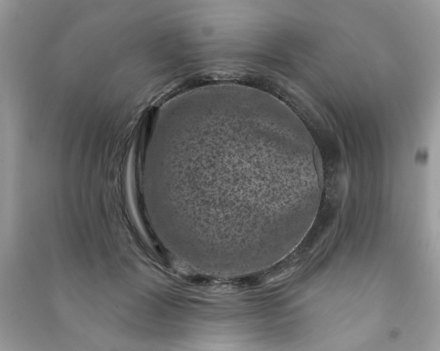 X0000091000604200708161939