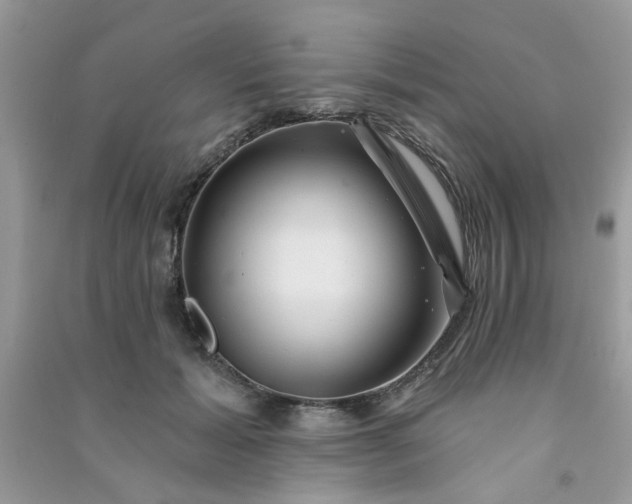 X0000091000605200708161939