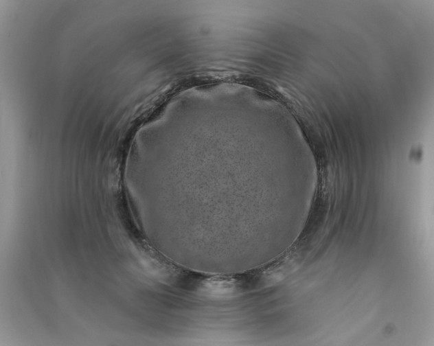 X0000091000606200708161939