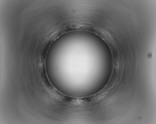 X0000091000607200708161939
