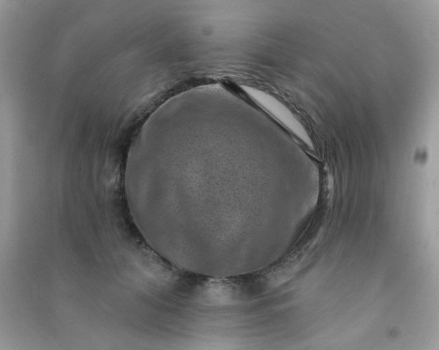X0000091000608200708161939