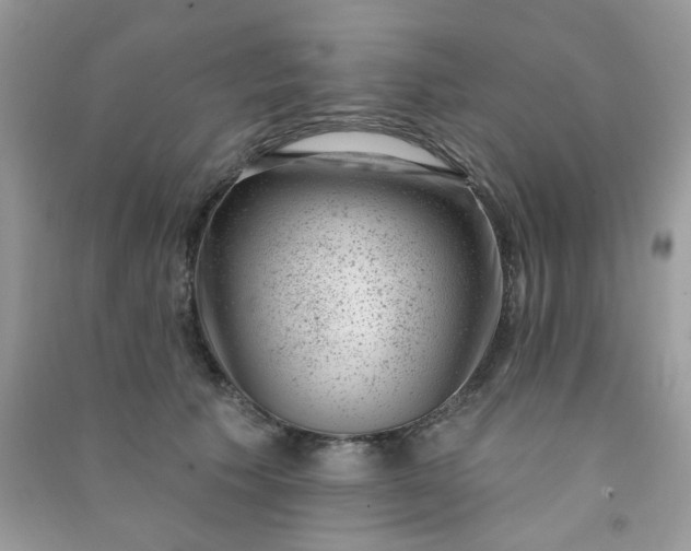 X0000091000609200708161939