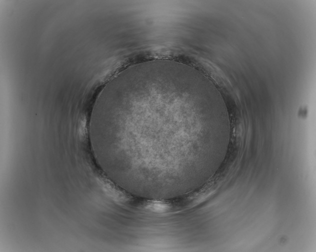 X0000091000610200708161939