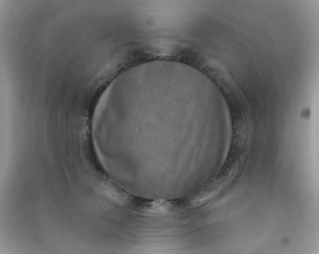 X0000091000612200708161939