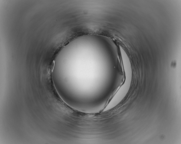 X0000091000613200708161939