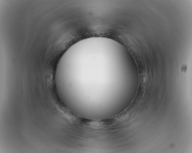 X0000091000615200708161939