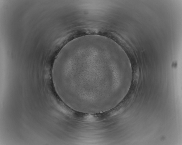 X0000091000616200708161939