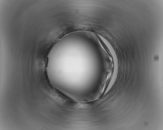 X0000091000617200708161939