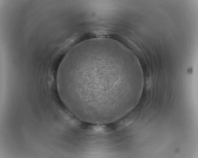 X0000091000618200708161939