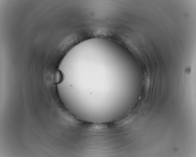 X0000091000619200708161939