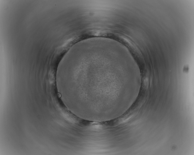 X0000091000620200708161939