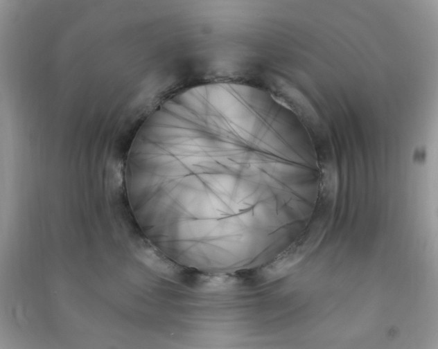 X0000091000621200708161939