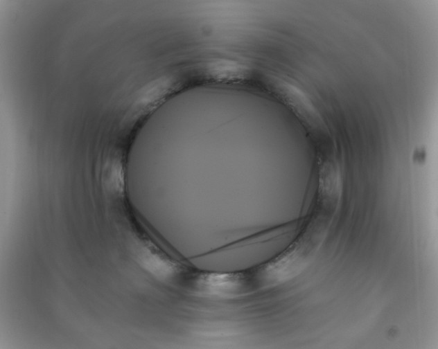X0000091000622200708161939