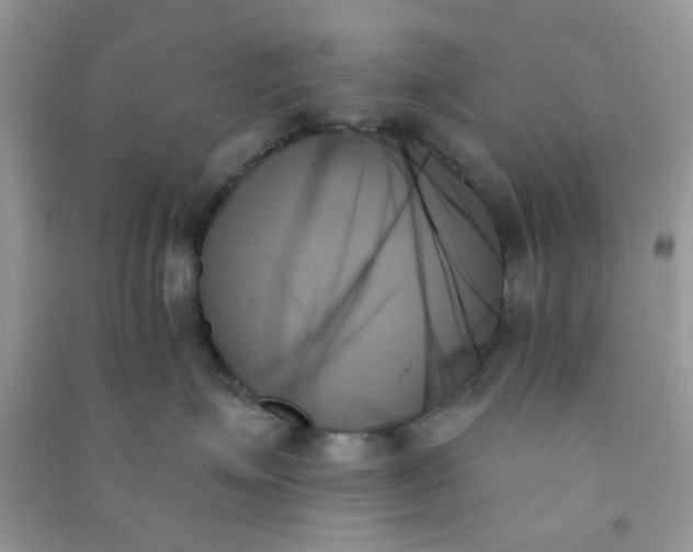 X0000091000623200708161939
