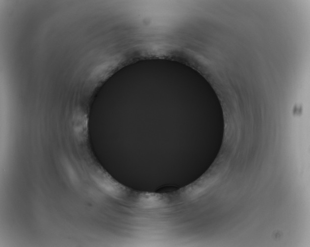 X0000091000624200708161939