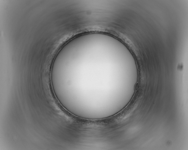 X0000091000625200708161939