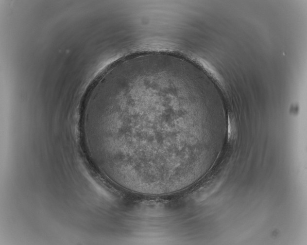 X0000091000627200708161939