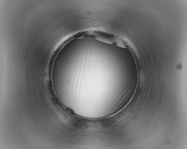 X0000091000628200708161939
