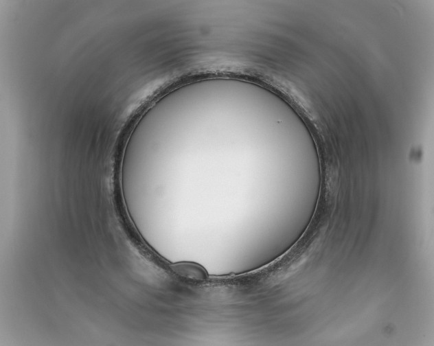 X0000091000629200708161939