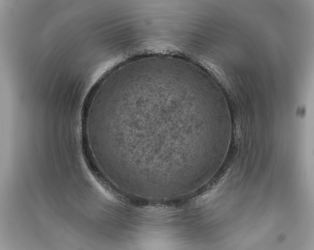 X0000091000630200708161939