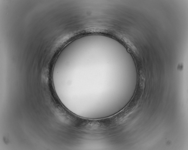 X0000091000631200708161939