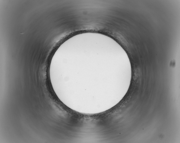 X0000091000632200708161939