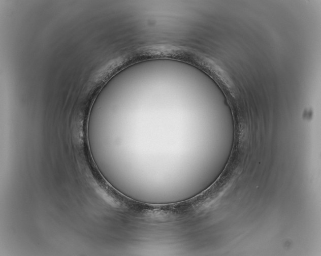 X0000091000633200708161939