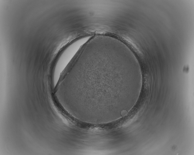 X0000091000634200708161939