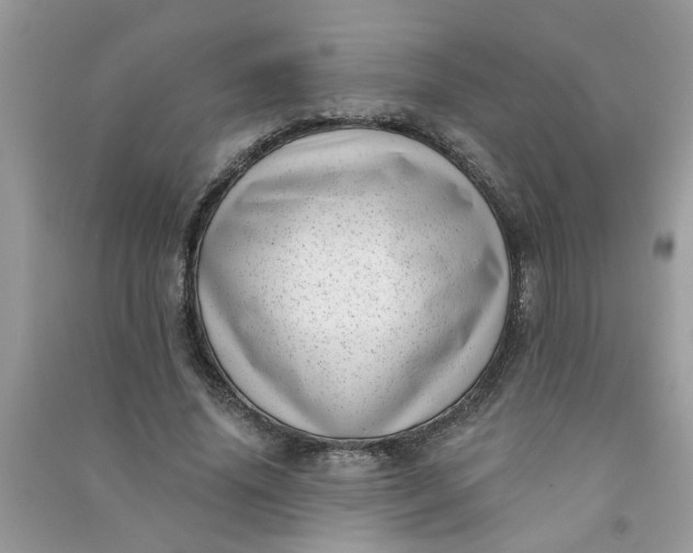 X0000091000636200708161939