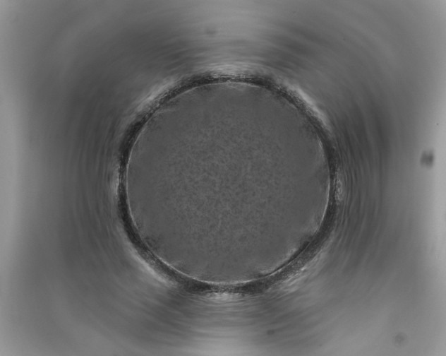 X0000091000637200708161939