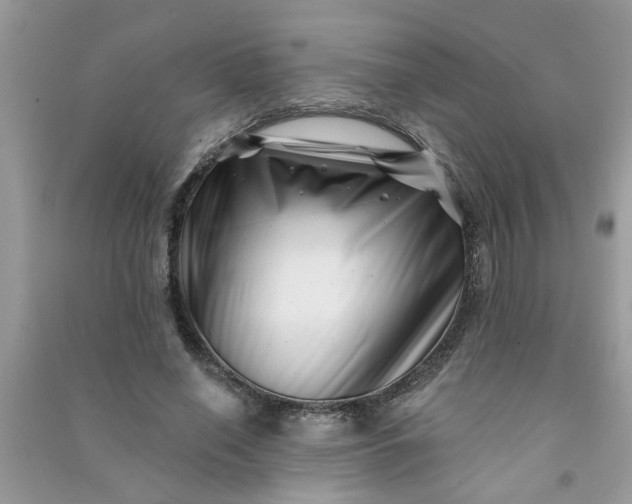 X0000091000638200708161939