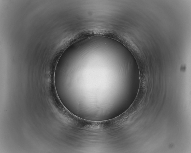 X0000091000639200708161939